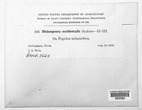 Image Associated With the Occurence